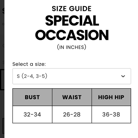 Windsor,Irina Floral,Chiffon,A-Line Dress in Cream, Excellent Condition, Size S - Picture 8 of 17